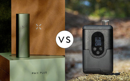 Pax Plus vs Arizer ArGo vaporizer