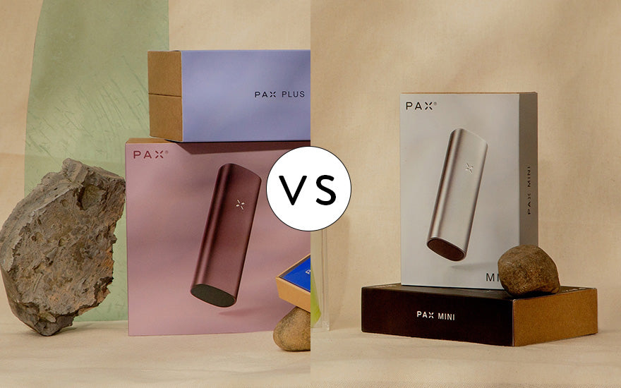 PAX Plus vs PAX Mini Vaporizer